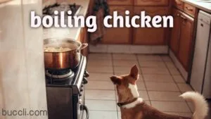 Boiling chicken for dogs