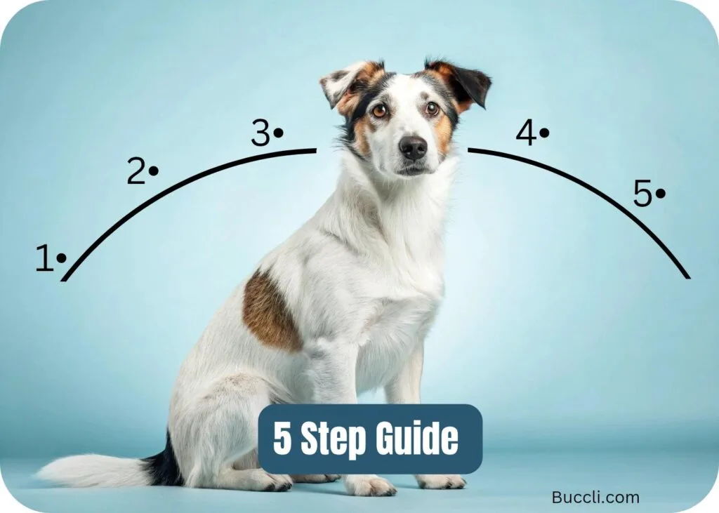 5 steps guide, How to make your dog forget or unlearn any trick, command or behavior