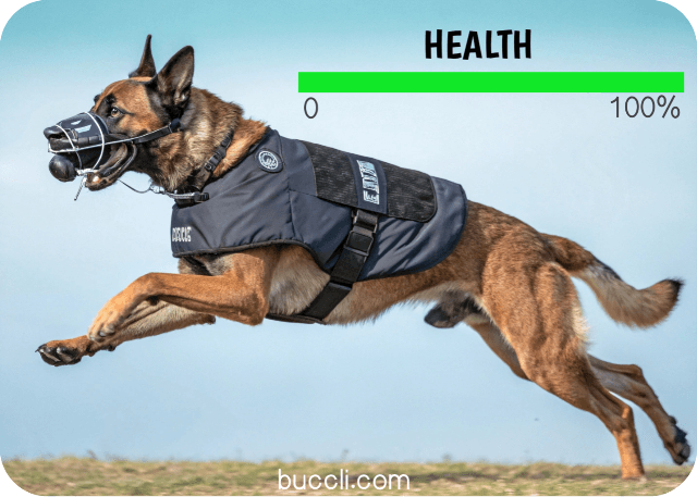 what tests do police dogs have to take, medical and health tests