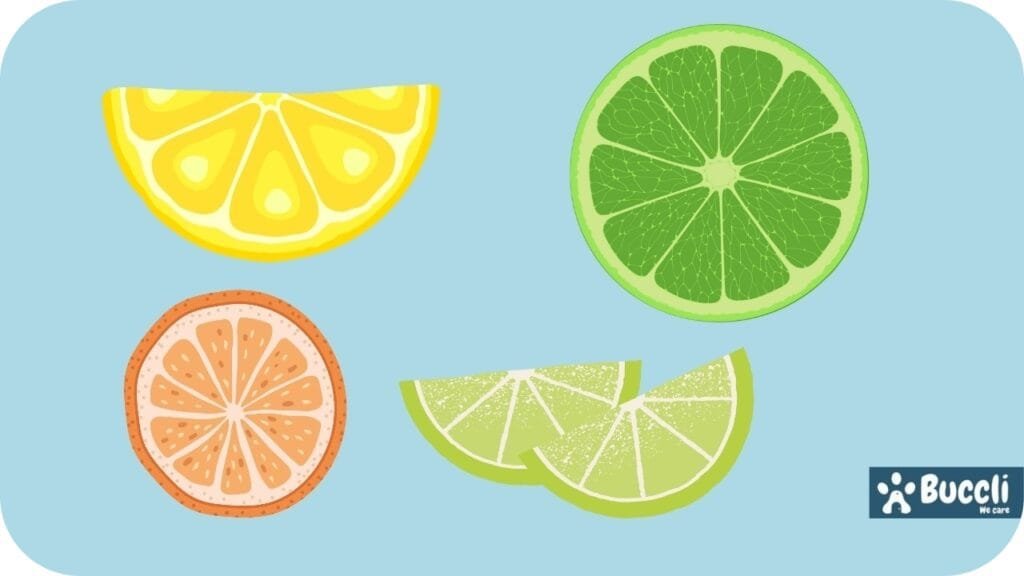 Citrus scents, what smells do dogs not like