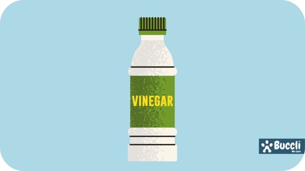 Vinegar, what smells do dogs not like