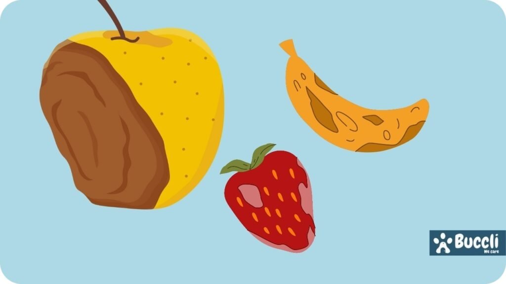 Rotten or decaying food
