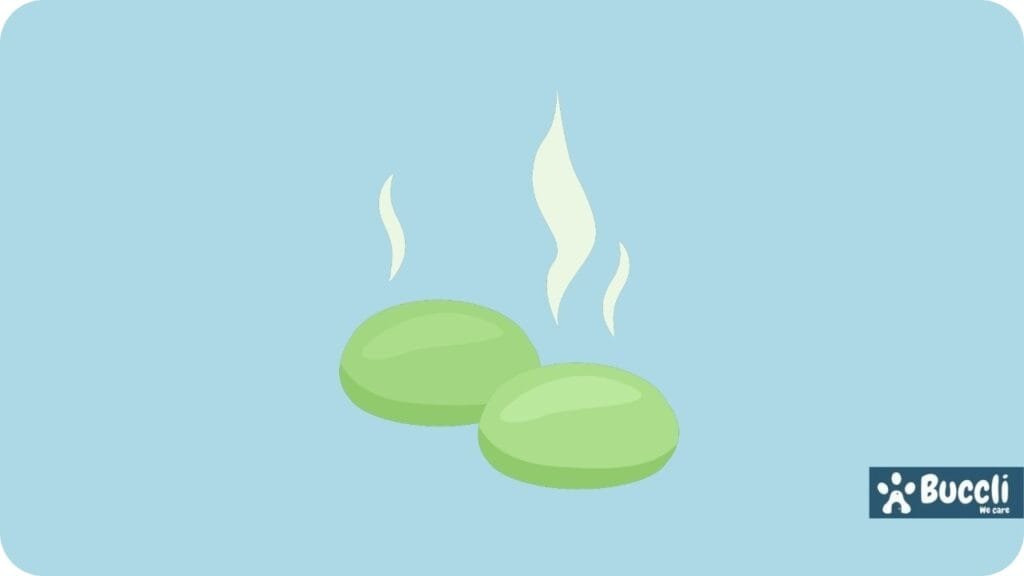 Mothballs , what smells do dogs not like