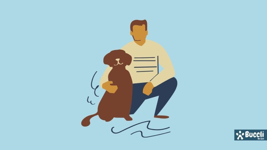 Approach from behind on dogs