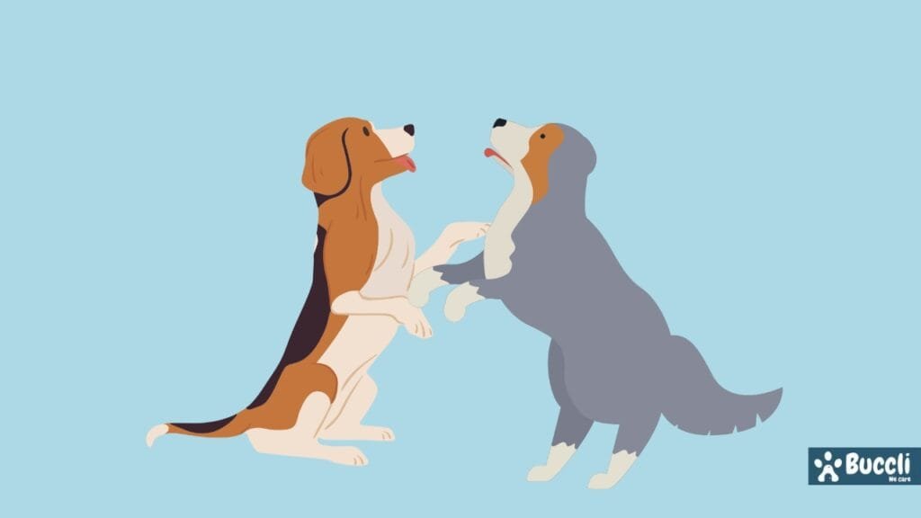 Grab their hind legs to stop dog fight