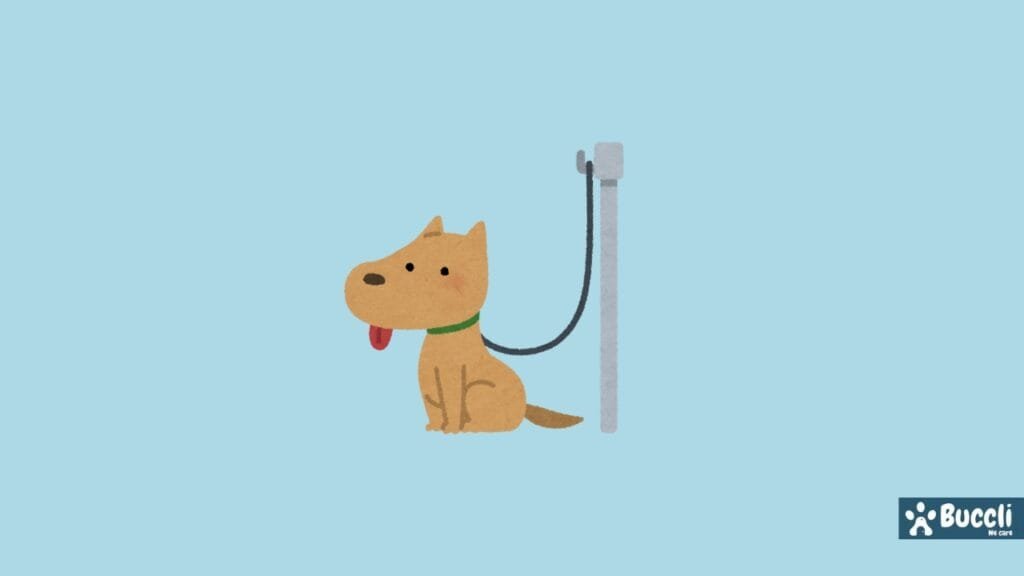 Secure your dog after fight