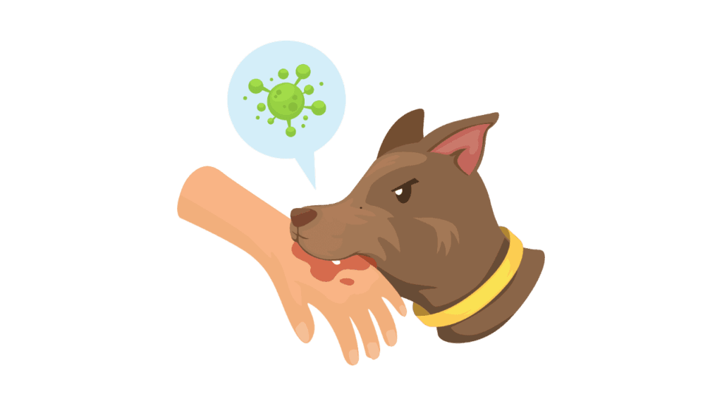 Rabies in dogs