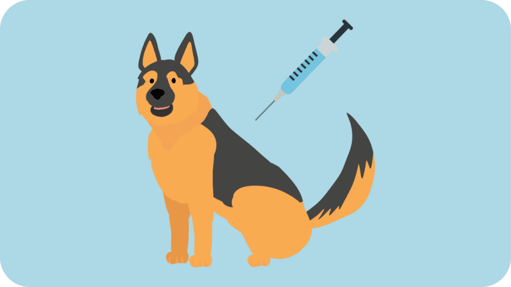 What to do if your dog has rabies