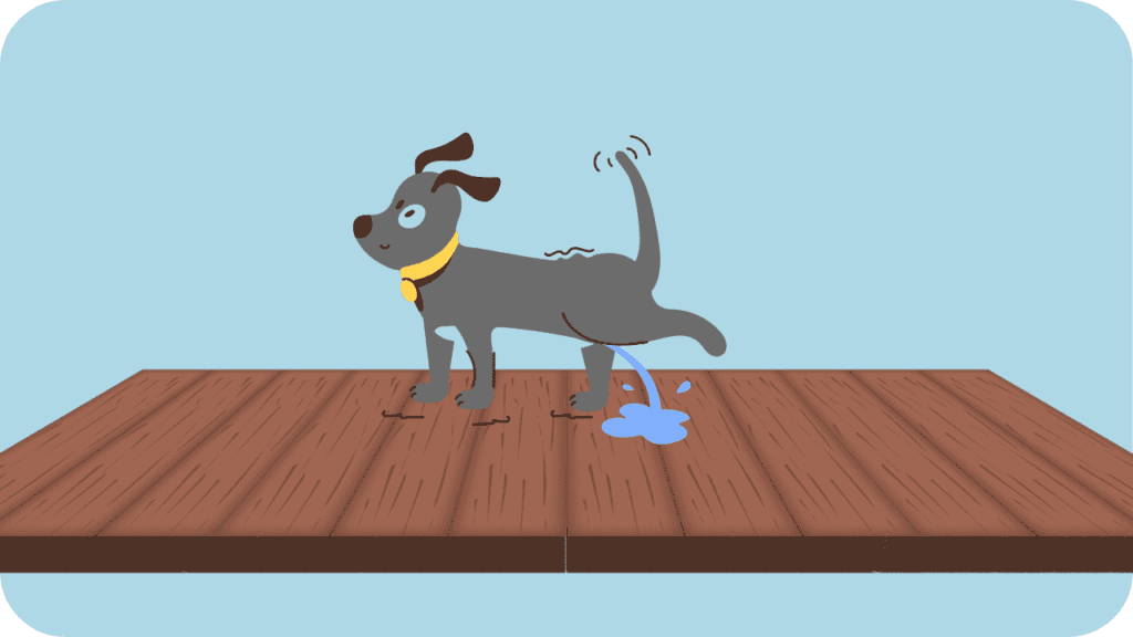how to get dog pee smell out of hardwood floors